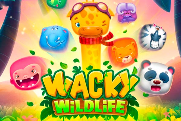 Знакомства