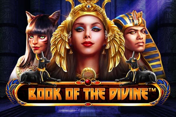 vavada casino apk