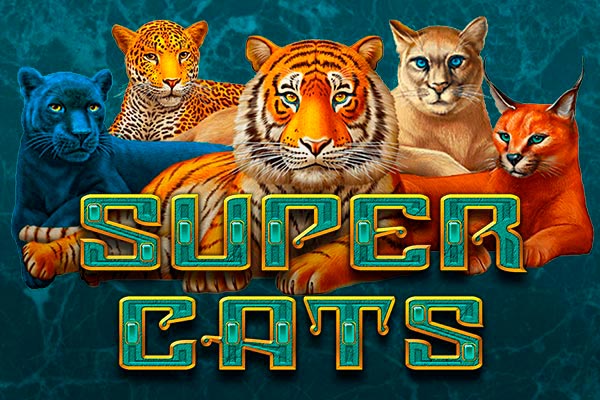 так cats casino cat casinoz